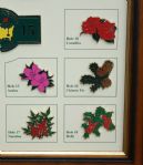 2015 Masters Limited Edition Edition (#76/250) Framed Pin Set