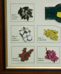 2015 Masters Limited Edition Edition (#76/250) Framed Pin Set