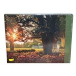 'In Full Bloom' - An Augusta National Golf Club in Photographs Coffee Table Book