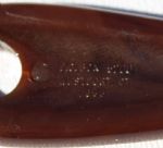 Augusta National Golf Club Shoe Horn