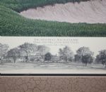 Steve Jones Signed 1996 US Open 16th Hole @ Oakland Hills Ltd Ed Hartough  Print 396/850