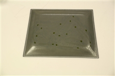 1973 PGA Championship at Canterbury GC Glass Plate - Jack Nicklaus Winner