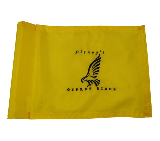 Disneys Osprey Ridge Miniature Pin Flag
