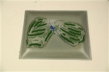 1976 PGA Championship at Congressional CC Glass Plate - Dave Stockton Winner