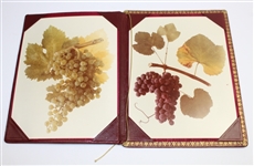 Augusta National Golf Club Wines and Beverages 2000 Season Menu