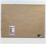 Rory McIlroy Signed 'The Players' Champ Flag - Framed JSA #J09624
