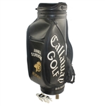 Annika Sorenstam 1997 Tour Golf Bag with Her Glove & 1992 LPGA Mazda Contestant Badge