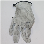 Annika Sorenstam 1997 Tour Golf Bag with Her Glove & 1992 LPGA Mazda Contestant Badge
