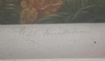 'The Blackheath Golfer' Print Signed by Engraver Will Henderson 