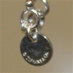 Tiffany & Co. Masters Sterling Silver Necklace
