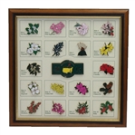 2015 Masters Tournament Limited Edition Pin Set (#078/250) - Framed