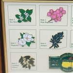 2015 Masters Tournament Limited Edition Pin Set (#078/250) - Framed