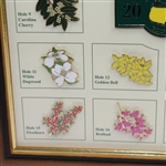2015 Masters Tournament Limited Edition Pin Set (#078/250) - Framed