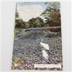 1941 US Open Championship at Colonial CC Program - Craig Wood Winner