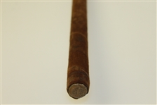 Dewsbury & Son Rustless Kangaroo 14 Iron