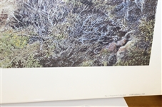 1995 Ltd Ed J Fitzpatrick Desert Mountain Print - #295/600