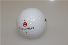 Arnold Palmer Personal Callaway Umbrella Ball 