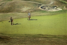 Eyre & Spottiswoode British Golf Print Signed by Artist
