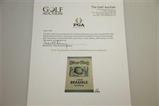 Silver King Bramble Color Golf Ball Brochure Advertisement