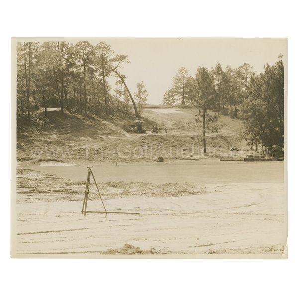 Early 1930s Augusta National Golf Club Original Photo of Pine Tree w/ Architects