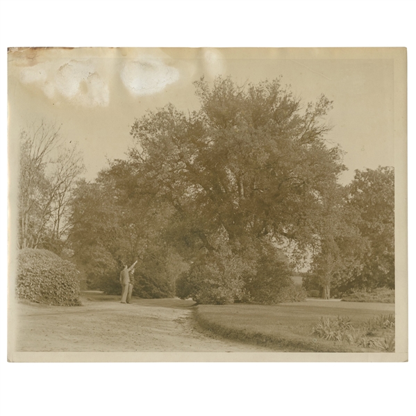 Early 1930's Augusta National Golf Club Type 1 Original Photo of Magnolia Lane From Clubhouse