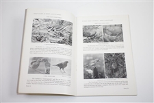 Bobby Jones' 1926 'Golf Clubs as Bird Sanctuaries' Book - Scarcest Written Work