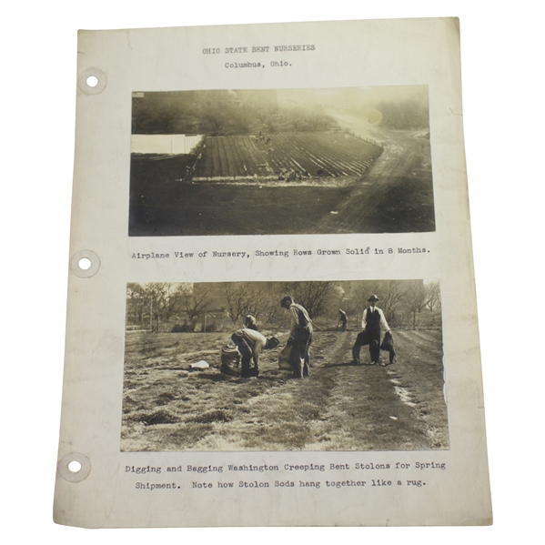 1920s Photos of Ohio State Bent Nurseries - Columbus, OH. - Wendell Miller Collection