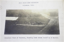 1920's Photos of Ohio State Bent Nurseries - Columbus, OH. - Wendell Miller Collection