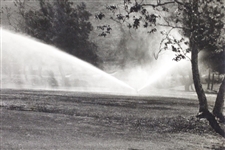 1920's Photo of Golf King #10 Suptr - Valley Club or Masters Rainer - Wendell Miller Collection