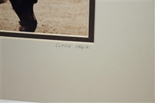Ben Hogan Swinging 11x14 Matted Photo - Circa 1942 Image