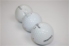 Two Dozen Augusta National Golf Club Range Practice Balls with Black Mesh Golf Ball Bag