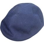 Payne Stewart Legg Mason Funds Blue Cap