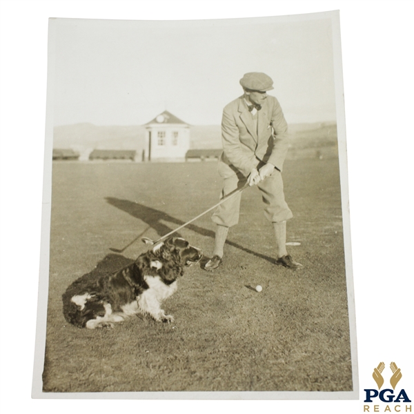 Mr. Gordon-Lockhart with Famous Prize Spaniel (Lord Reddy) Golf Ball Finder at Gleneagles Wire Photo