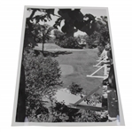 1983 North Shore Country Club  5th Tee Elevated Green View Press Photo - 8" x 10"
