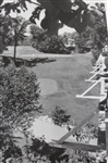 1983 North Shore Country Club  5th Tee Elevated Green View Press Photo - 8 x 10