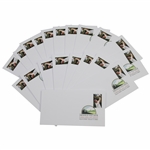 Lot of 20 Arnold Palmer First Day of Issue Covers - March 4, 2020