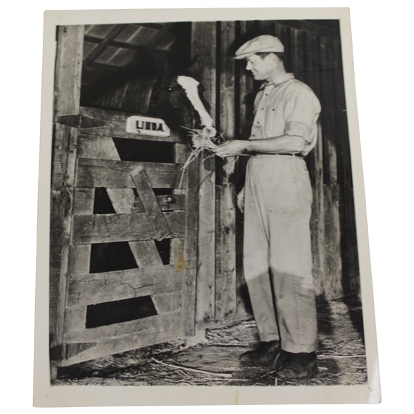 Farmer Nelson Feed His Horse Linda One Year Retired Photo - Rod Munday Collection