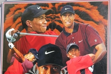 Tiger Woods Danny Day Ltd Ed Art Display with Signed Woods Cut - Framed JSA ALOA