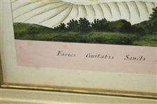 Circa 1690 Antique Etching Prospect of the Town of St Andrews - Framed