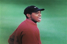 Classic Tiger Woods Titleist '#1 Ball in Golf' Poster - Fist Pump with Old Putter