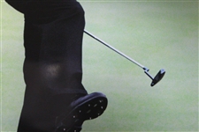Classic Tiger Woods Titleist '#1 Ball in Golf' Poster - Fist Pump with Old Putter