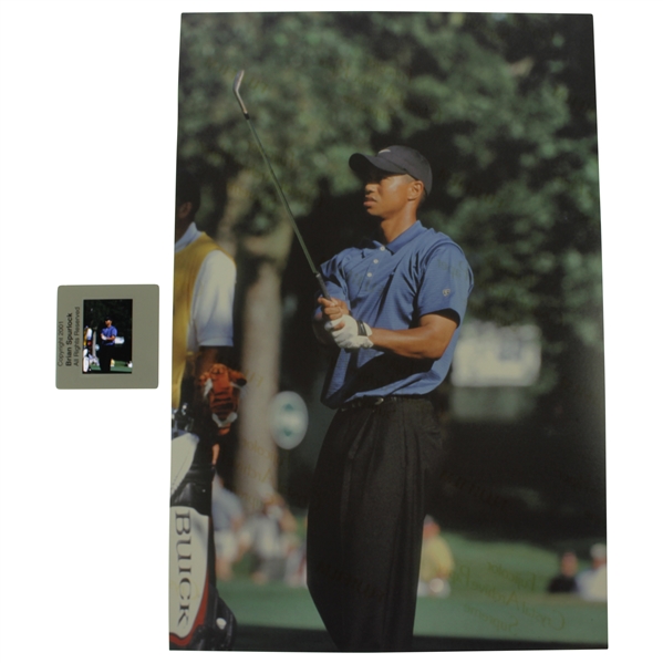 Tiger Woods Original 2001 Color Slide & Print - Comes with Photo Rights