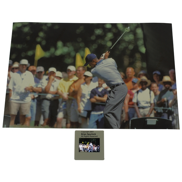Tiger Woods Original 2001 Color Slide & Print - Comes with Photo Rights