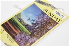 Charles Coody's 2015 Masters Sunday Ticket #A00072 - Jordan Spieth Winner