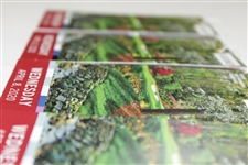 Four (4) 2020 Masters Tournament Wednesday Tickets with Original String