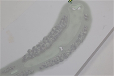 2002 Masters Tournament 'Hole #2 - Pink Dogwood Par 5 - 575yds' Notepad