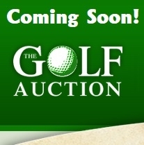 Auction Lot To Be Added - Coming Soon! 