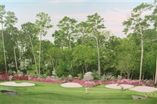 Arnold Palmer Signed 'The 13th at Augusta' Ltd Ed 213/500 Pro Tour Edition Helen Rundell Print JSA ALOA
