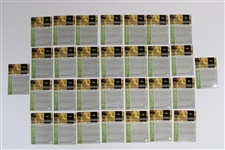 Tiger Woods Golf Cards - Rookie Card, GrandSlam Card, & Full Set of Tiger Tales (30)