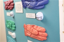 Winners of the PGA 1960-1969 Signed Golf Balls & Gloves Display JSA ALOA